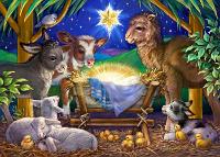 A Child is Born  Published by the Vermont Christmas Company -  A Child is Born : Wollenmann, jigsaw puzzle, Christmas, animals, sheep, lamb, religious, night, stable, doves, crib, baby, nativity, Advent Calendar, cow, donkey, star, chicks, goat, camel